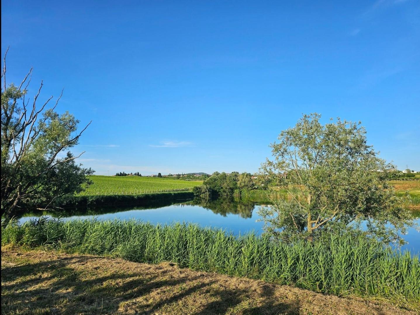 Apartma Bertoki Koper Exteriör bild